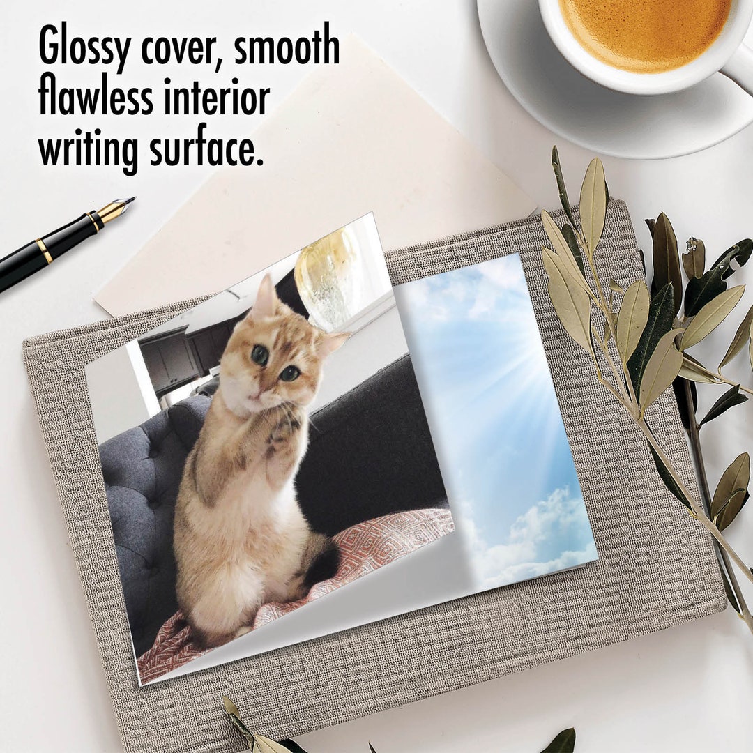 Funny All Occasions Greeting Card With Envelope (1 Card) Blank All ...