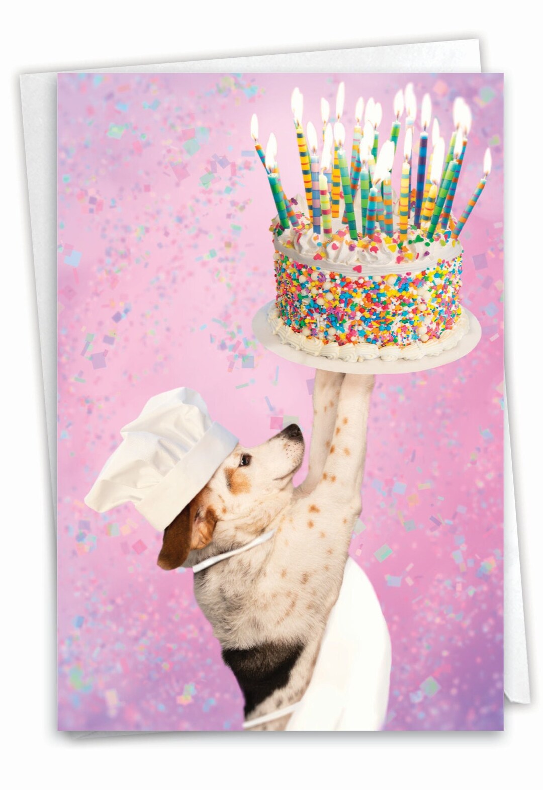 Funny Birthday Greeting Card With 5 X 7 Inch Envelope (1 Card) Dog Cake ...