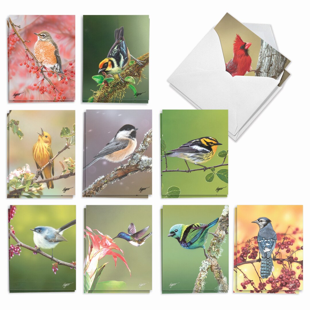20 Assorted Blank Notecards Bulk Set 4 X 5.12 Inch With Envelopes (10 ...