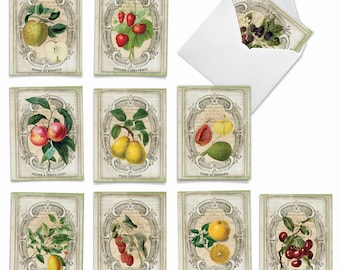 10 Pack Assorted All Occasions Note Cards - French Fruit - w/ Envelopes - NobleWorks, M4190OCB-B1x10