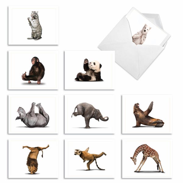 10 Assorted Blank Funny All Occasions Notecards - Zoo Yoga - 10 Designs w/ Envelopes - M6547OCB