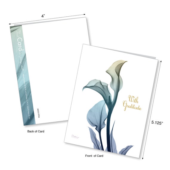 SPICE BLOOMS M6628TYG 10  Thank You Cards Assortment 