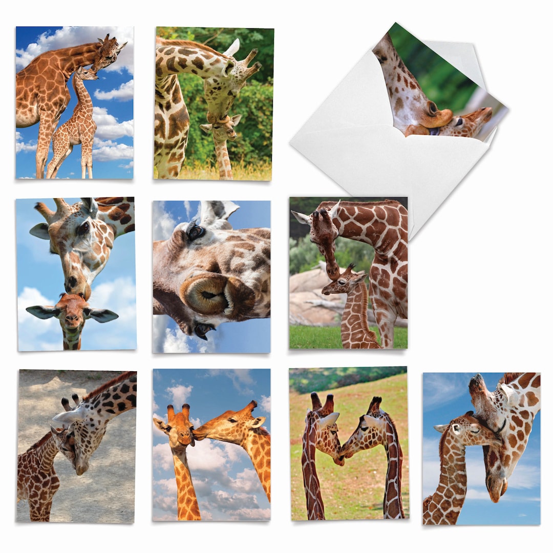 10 Assorted Blank Note Cards Bulk Pack 4 X 5.12 Inch W/ Envelopes 10