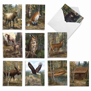 10 Assorted Blank Notecards Pack Set 4 x 5.12 Inch with Envelopes (10 Designs, 1 Each) INTO THE WOODS: 10 Assorted All-Occasion Note Cards.