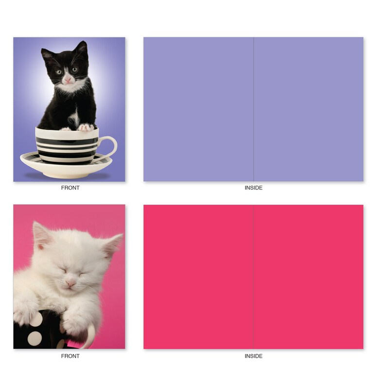 M3969 Cupcats 10 Blank Note Cards With Assorted Designs for Etsy