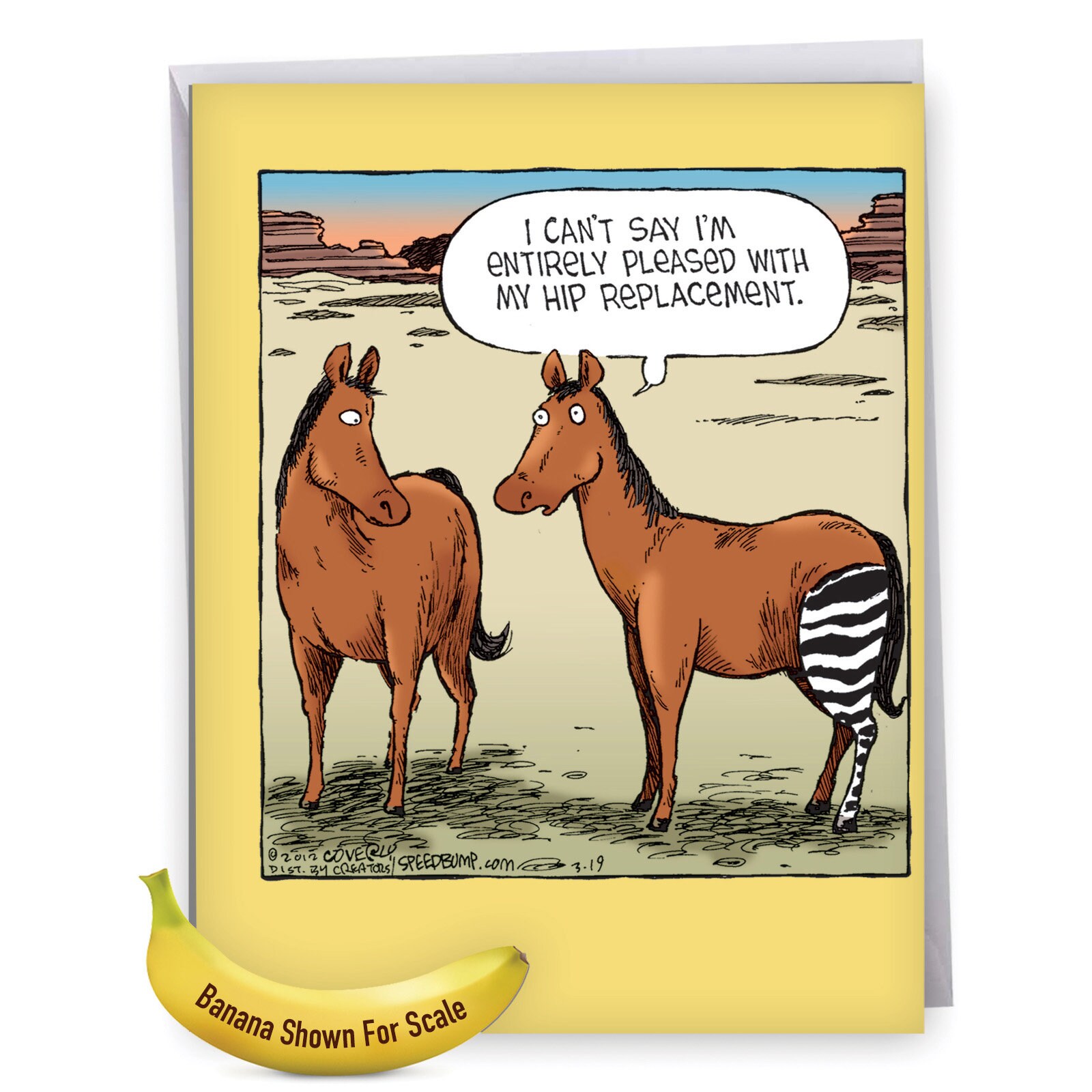 J1770GWG 'Horse Hip Replacement' Get Well Card Etsy