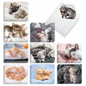 20 Assorted Blank Note Cards Set 4 x 5.12 Inch with Envelopes (10 Designs, 2 Each) Cuddling Cats - Photos of Baby Kitties Embracing