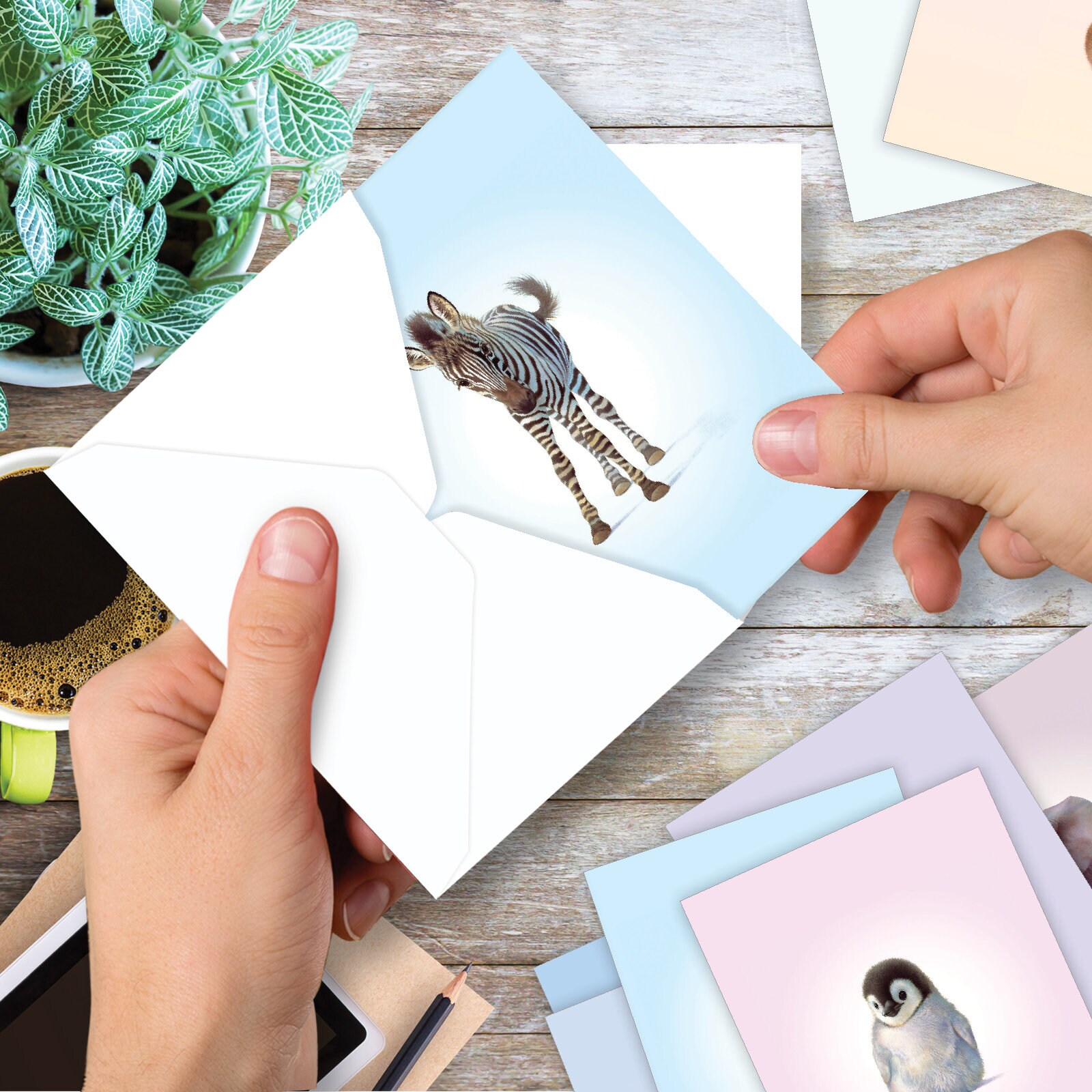 20 Assorted Blank Note Cards Bulk Bulk Pack 4 X 5.12 Inch With Etsy