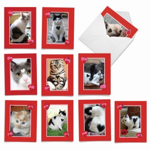 10 Assorted Blank Notecards Set 4 x 5.12 Inch w/ Envelopes (10 Designs, 1 Each) Heartfelt Cats, For Him For Her