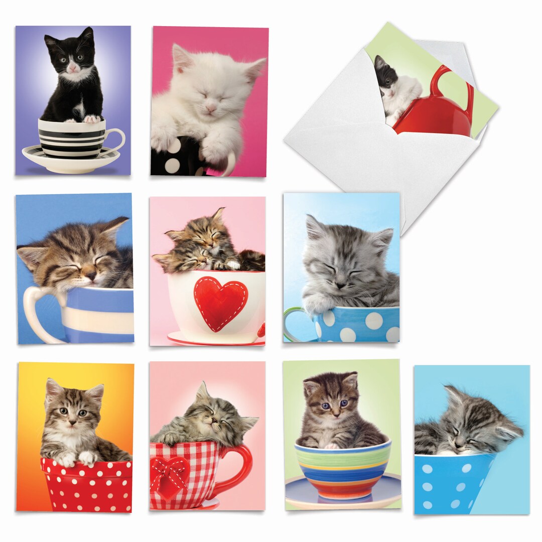 Kitten in Teacup Notecards, Assorted Blank Cards With Envelopes, Set of ...