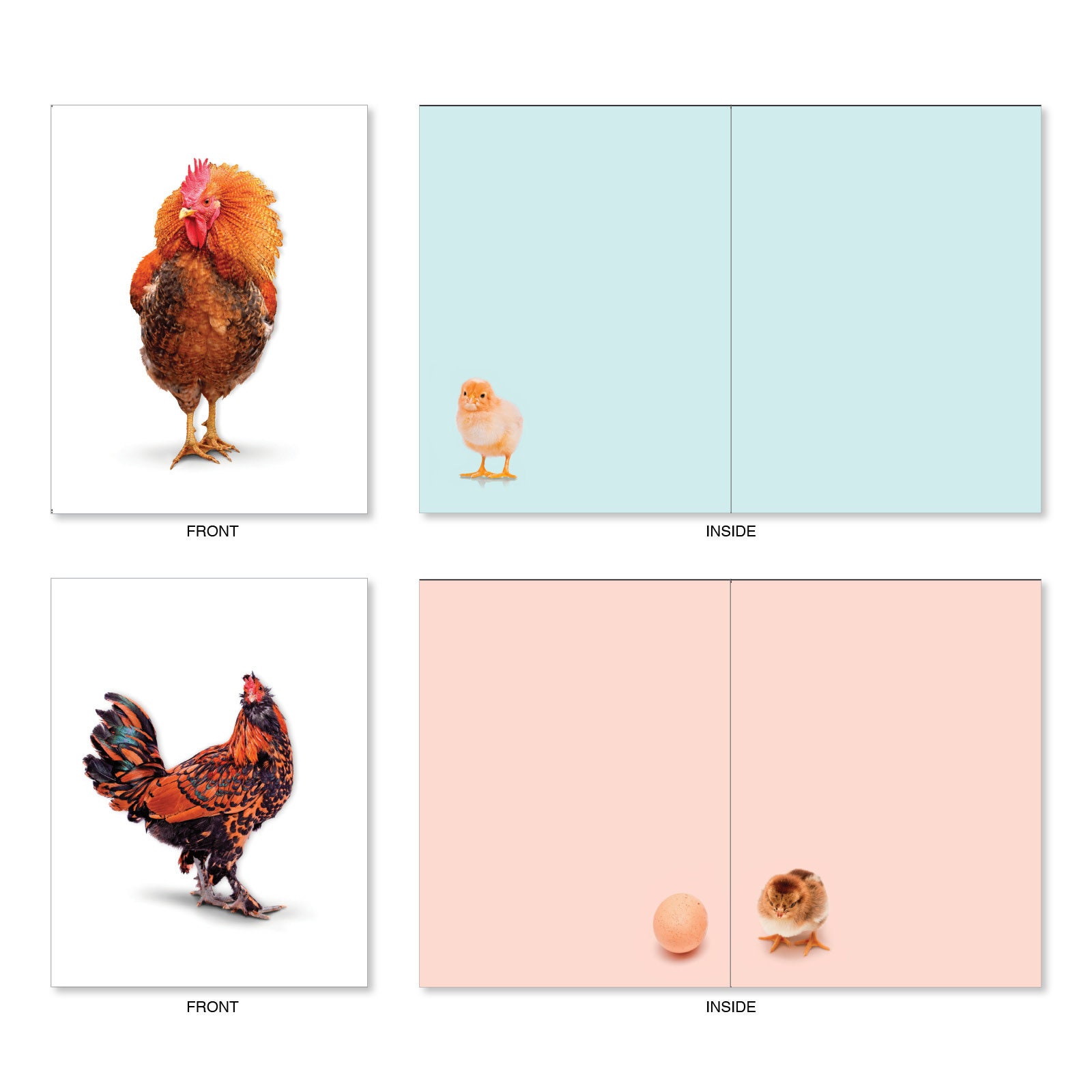 The Best Card Company 20 Bulk Greeting Notecard Set Blank 4 Etsy