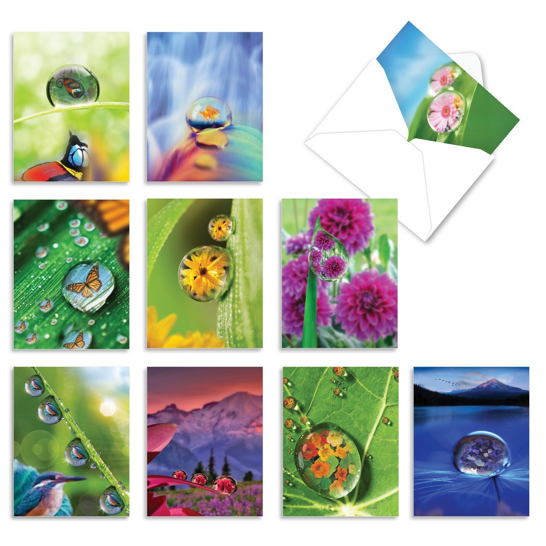 10 Assorted Blank Note Cards Bulk Pack 4 X 5.12 Inch With Etsy