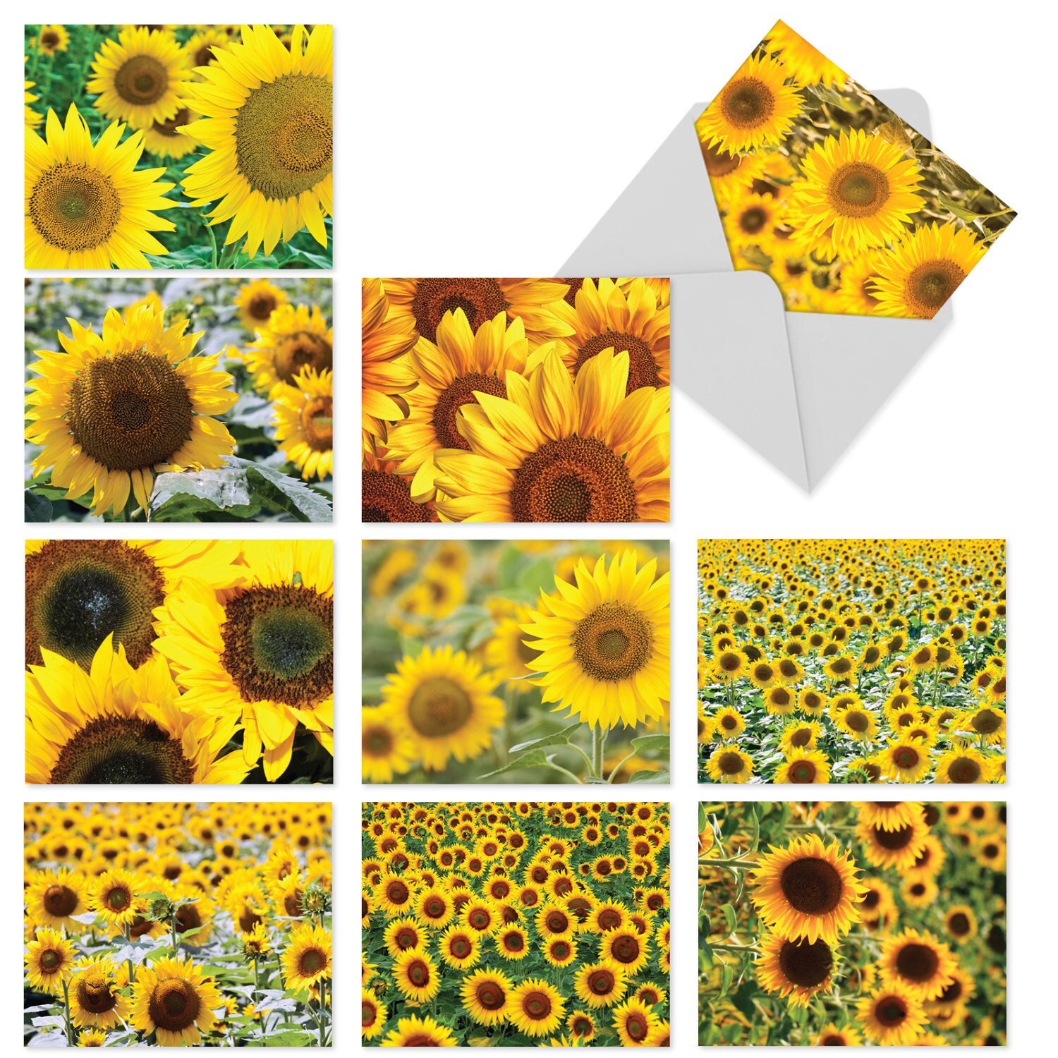 10 Assorted Blank Note Cards Bulk Box Set 4 X 5.12 Inch With Etsy
