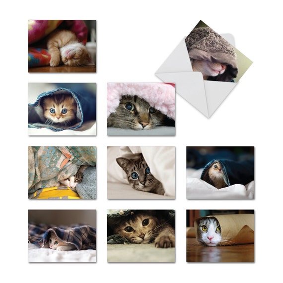 10 Assorted Blank All-Occasion Note Cards //Matching Envelopes. M3969 Cup-Cats