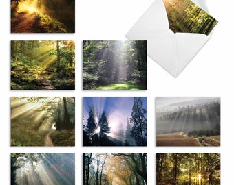 10 Assorted Blank Notecards Packed Set 4 x 5.12 Inch with Envelopes (10 Designs, 1 Each) SHINING THROUGH: 10 Assorted Blank Note Cards.