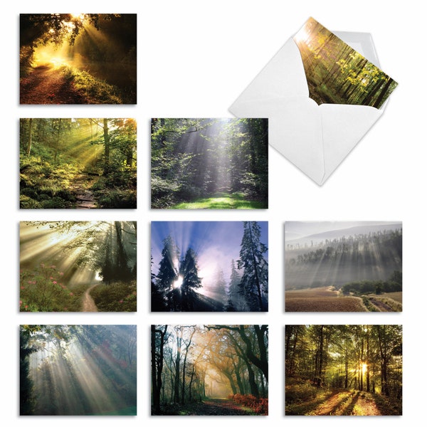 10 Assorted Blank Notecards Packed Set 4 x 5.12 Inch with Envelopes (10 Designs, 1 Each) SHINING THROUGH: 10 Assorted Blank Note Cards.