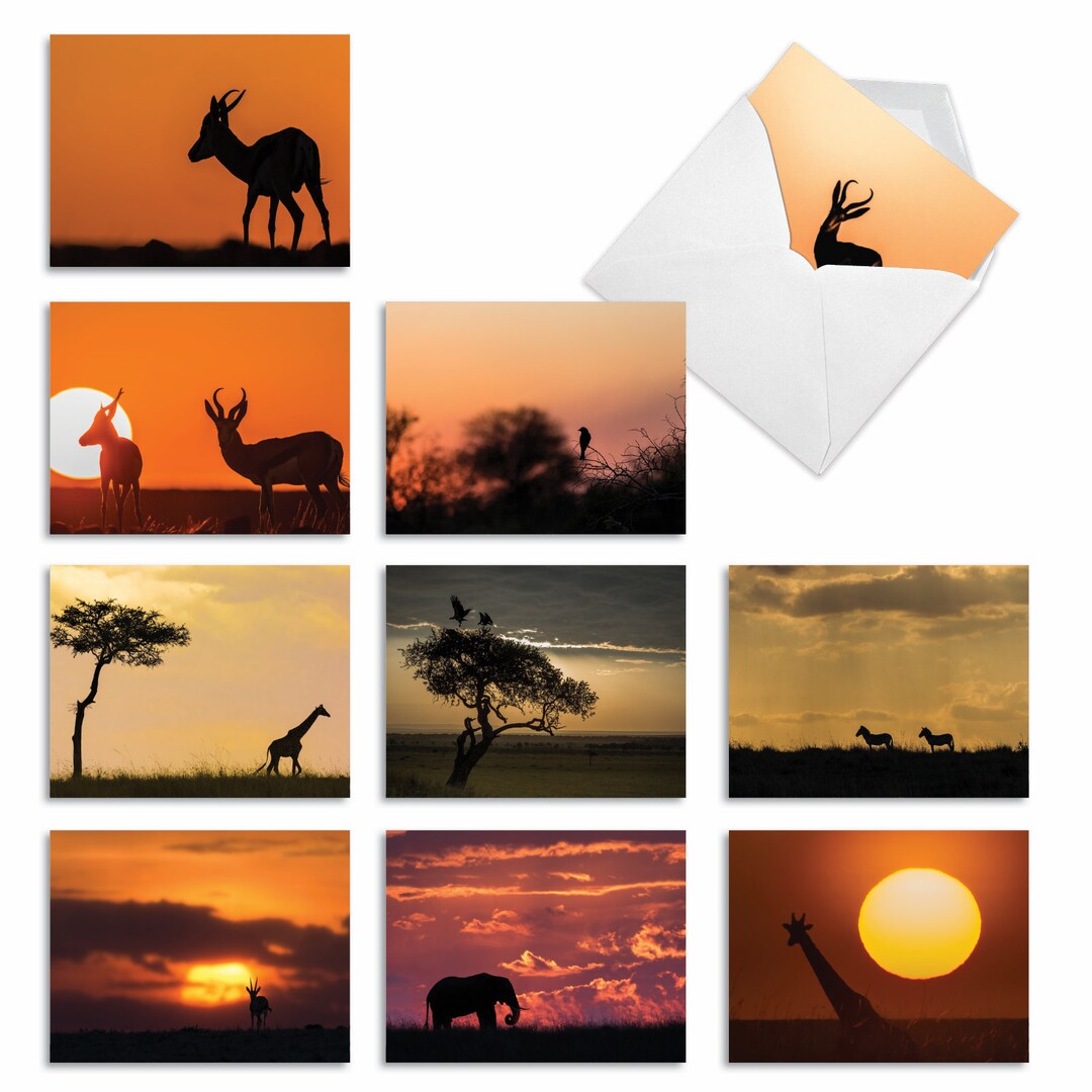 10 Assorted Blank Note Cards Bulk Set 4 X 5.12 Inch With Etsy