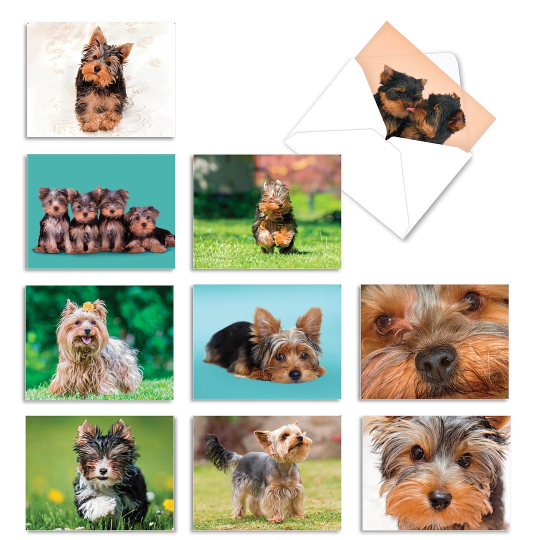10 Assorted Blank Note Cards Bulk Pack 4 X 5.12 Inch With Etsy