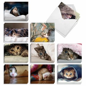 20 Assorted Blank Notecards Bulk Set 4&quot;x5.12&quot;(10 Designs, 2 Each) Cat You See Me Now | Envelope(s) Included | Made in the USA