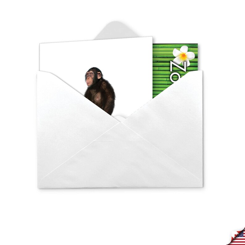 Funny Blank All Occasions Greeting Card With Envelope (1 Card) Blank ...