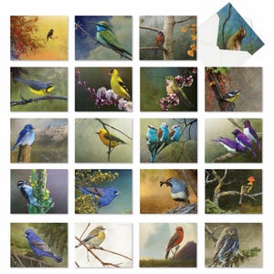 May include: A collection of twenty greeting cards featuring detailed illustrations of various bird species, including bluebirds, goldfinches, hummingbirds, and owls, displayed in a grid format with a white envelope shown in the top right corner.