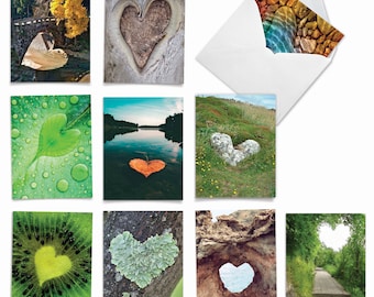 10 Assorted Blank All Occasions Note Cards Bulk Pack 4 x 5.12 Inch with Envelopes (10 Designs1 Each)  Heartscapes