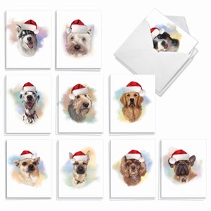 20 Assorted Christmas Notecards Bulk Bulk Pack 4 x 5.12 Inch with Envelopes (10 Designs2 Each)  Handsome Dogs