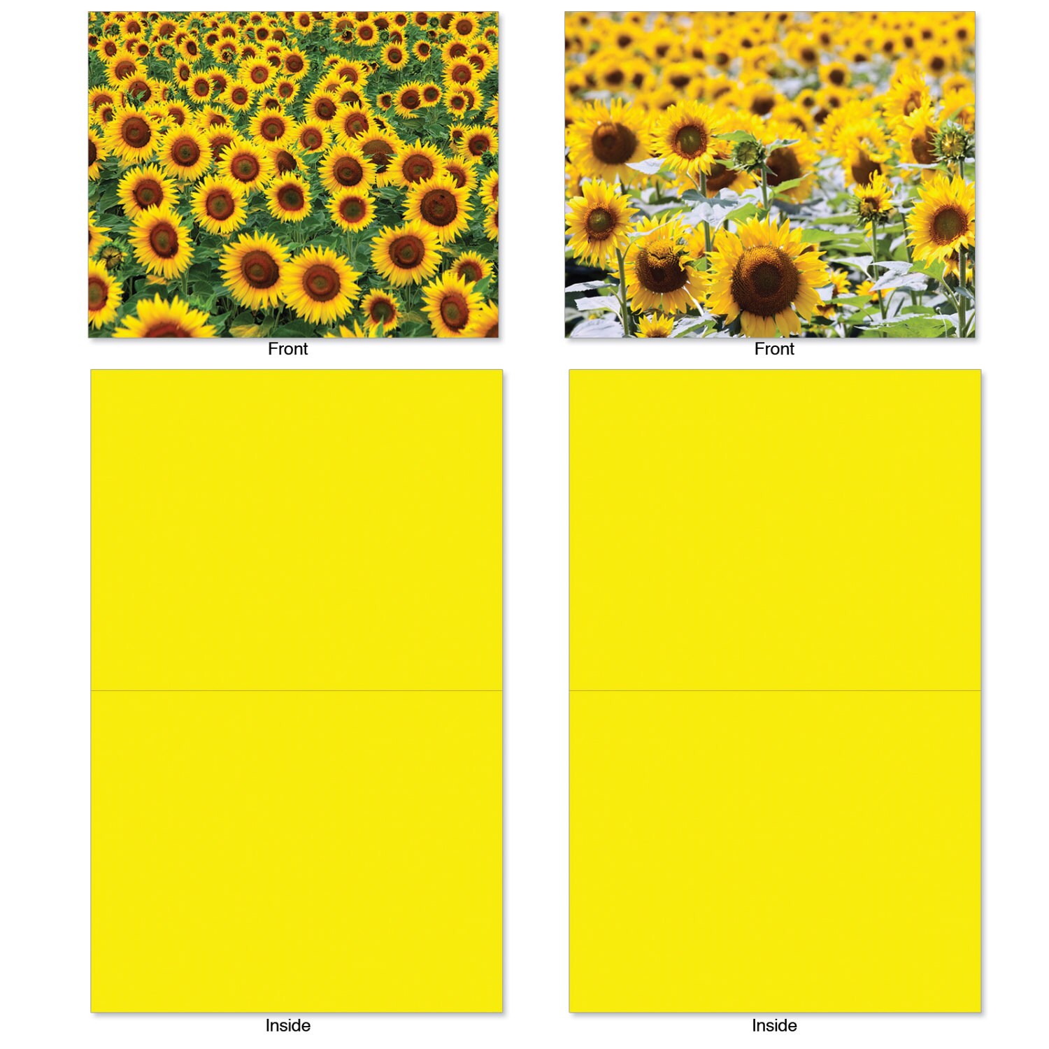 10 Assorted Blank Note Cards Bulk Box Set 4 X 5.12 Inch With Etsy