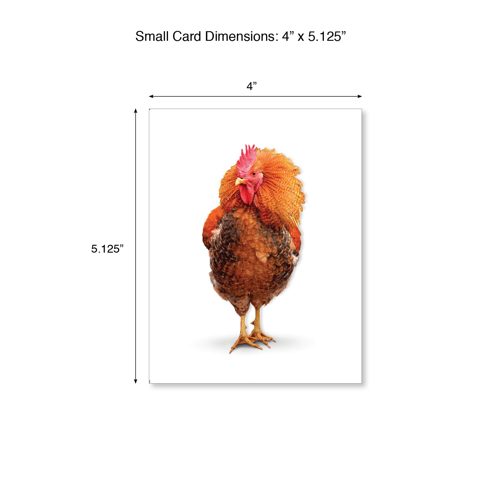 The Best Card Company 20 Bulk Greeting Notecard Set Blank 4 Etsy