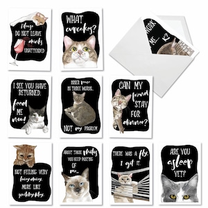 10 Assorted Bulk Pack Funny Blank All Occasions Greeting Cards w/Envelopes (10 Designs1 Each)  Cat Antics, For Him For Her