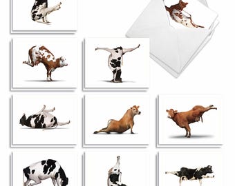 20 Assorted Blank All Occasions Notecards - Bovine Nirvana - 10 Designs, 2 Each w/ Envelopes - AM6545OCB-B2X10
