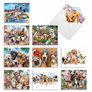 May include: A set of eight greeting cards featuring adorable dogs and cats in various poses. The cards are printed on high-quality cardstock and come with envelopes.
