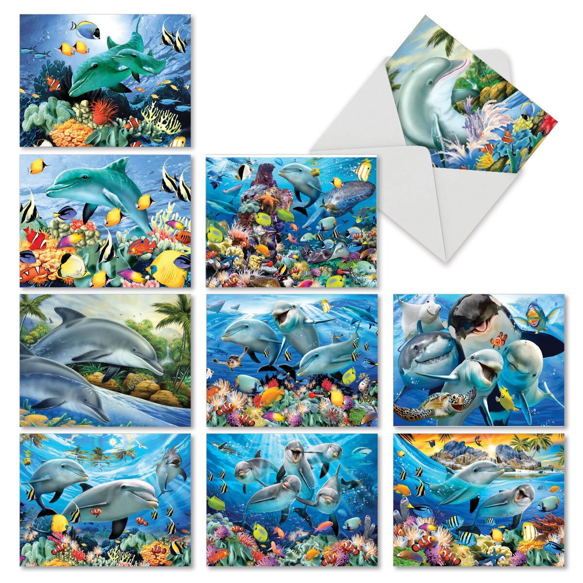Dolphin-themed Note Cards With Envelopes box of 10 Assorted | Etsy