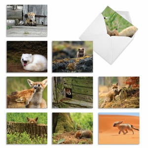 10 Assorted Blank All Occasions Notes Set 4&quot;x5.12&quot;(10 Designs, 1 Each) Little Foxes | Envelope(s) Included | Made in the USA