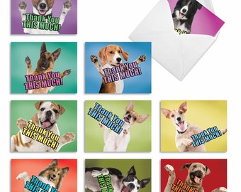 Paquete de 10 tarjetas de agradecimiento surtidas de 4 x 5,12 pulgadas con sobres (10 diseños, 1 de cada uno) PERRO GRANDE GRACIAS: 10 tarjetas de agradecimiento surtidas.