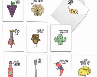 10 Assorted Blank All Occasions Note Cards Pack Set 4 x 5.12 Inch w/ Envelopes (10 Designs, 1 Each) FUN PUNS, For Him For Her