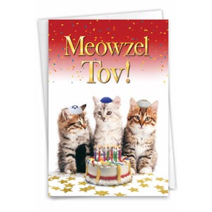 Funny Birthday Greeting Card (1 Card) Bday Meowzel | Envelope(s) Included | Made in the USA