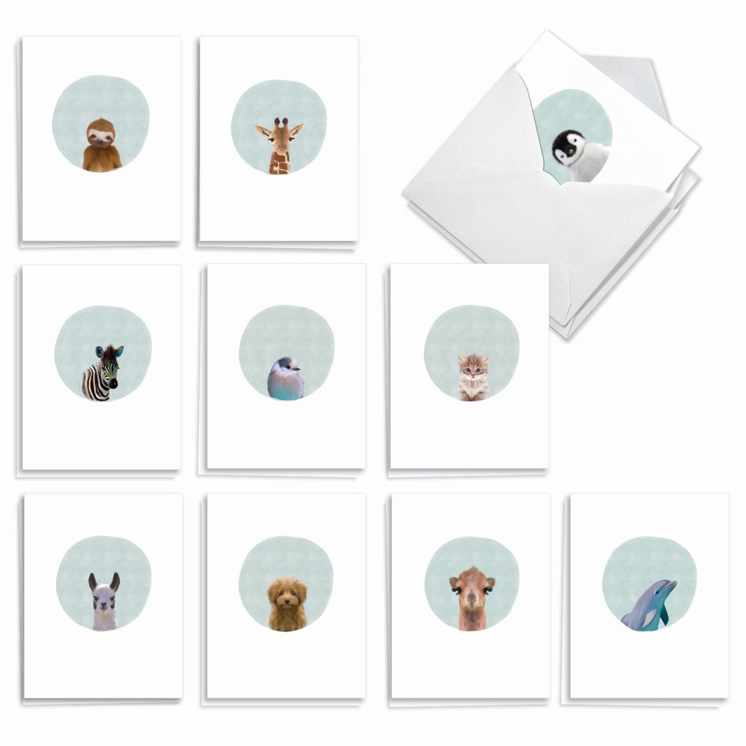 20 Assorted Blank Notecards Bulk Pack 4 X 5.12 Inch With Envelopes (10 ...