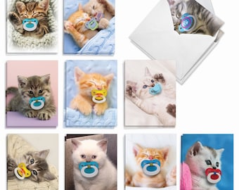 20 Assorted All Occasions Notecards Bulk Bulk Pack 4 x 5.12 Inch with Envelopes (10 Designs2 Each)  Cat Pacifiers