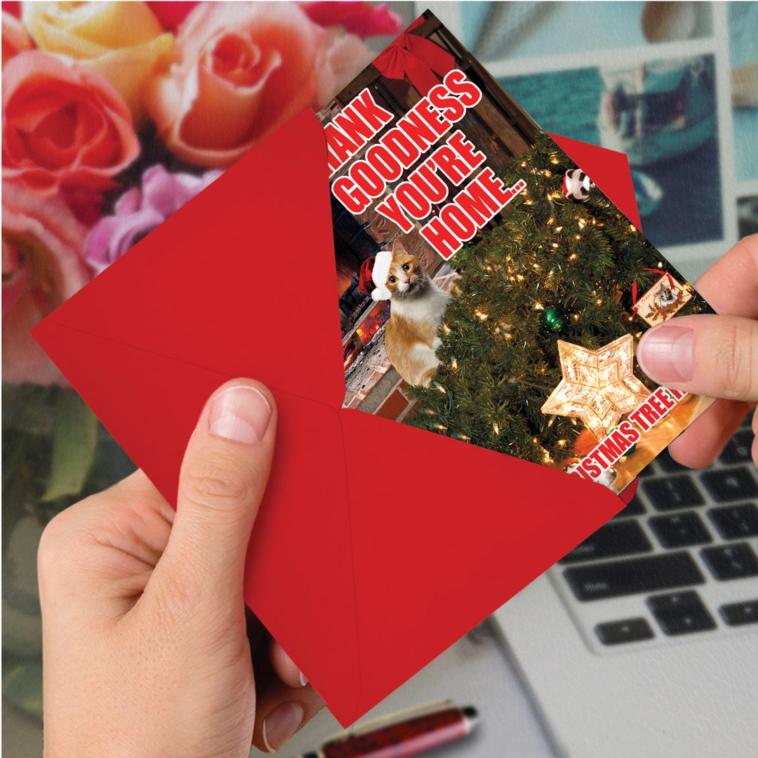 12 Funny Christmas Greeting Cards Bulk Bulk Pack W/ Envelopes 1