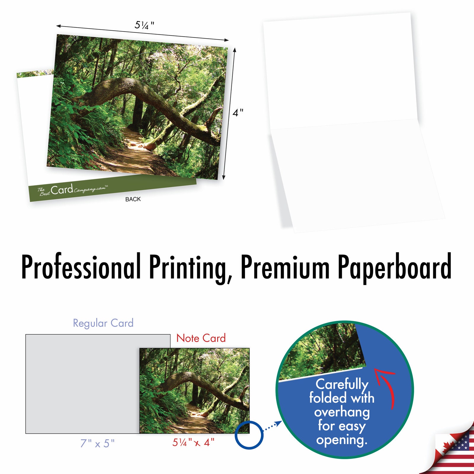 20 Assorted Blank Notes Bulk Bulk Pack 4 X 5.12 Inch With Envelopes (10 ...