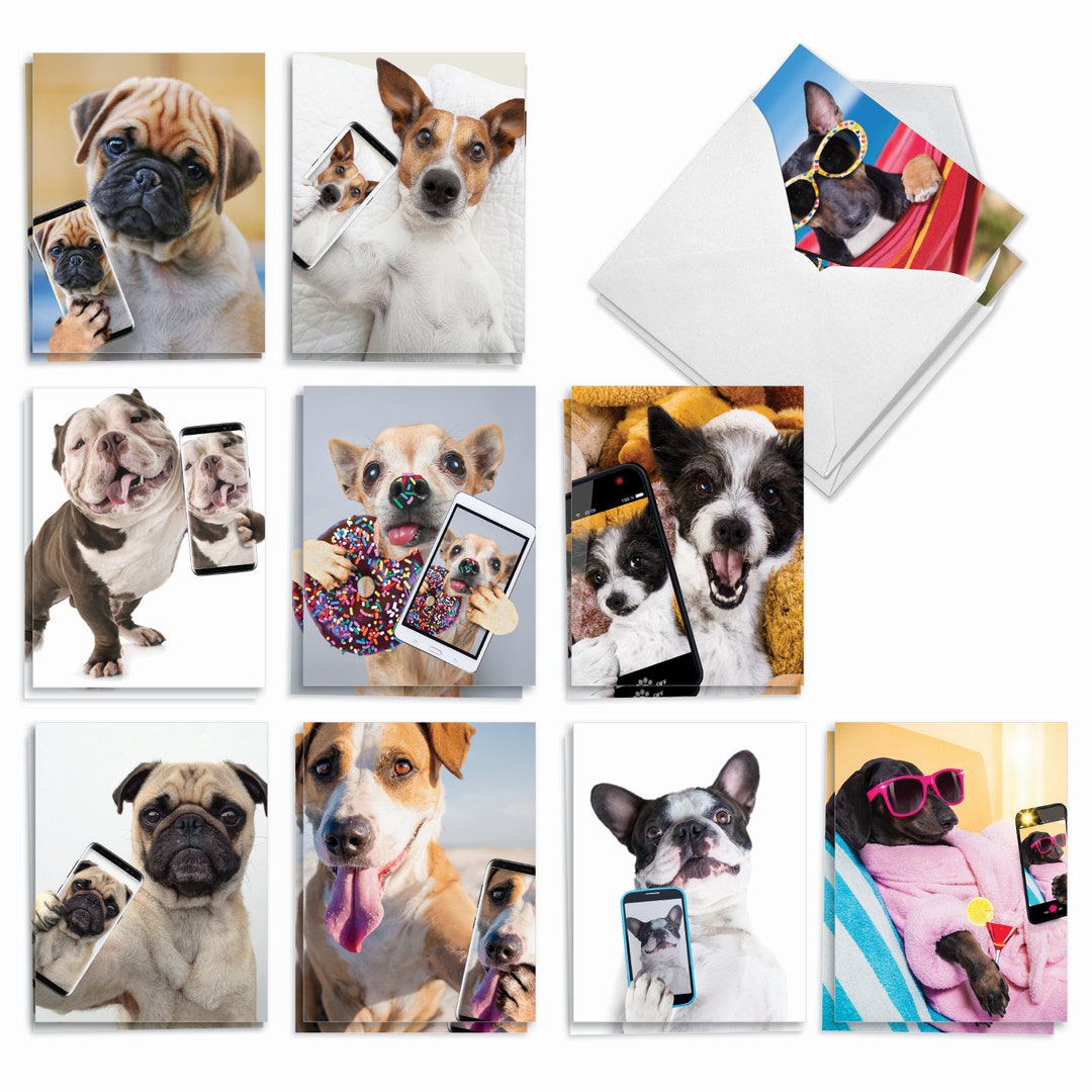 20 Assorted Funny Blank Note Cards Bulk Set 4 X 5.12 Inch W/ Envelopes ...