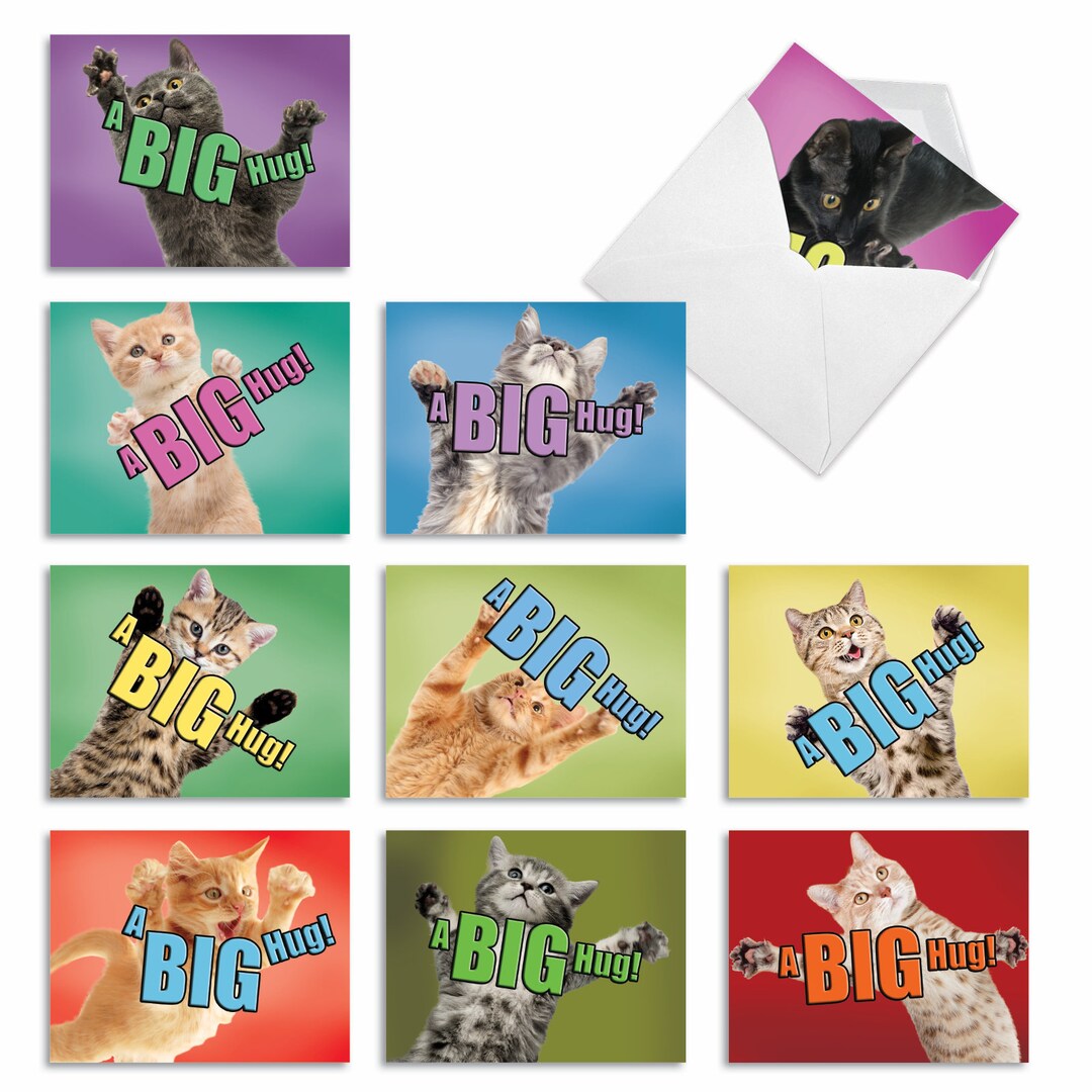 10 Assorted Blank All Occasions Note Cards Set 4 X 5.12 Inch With ...
