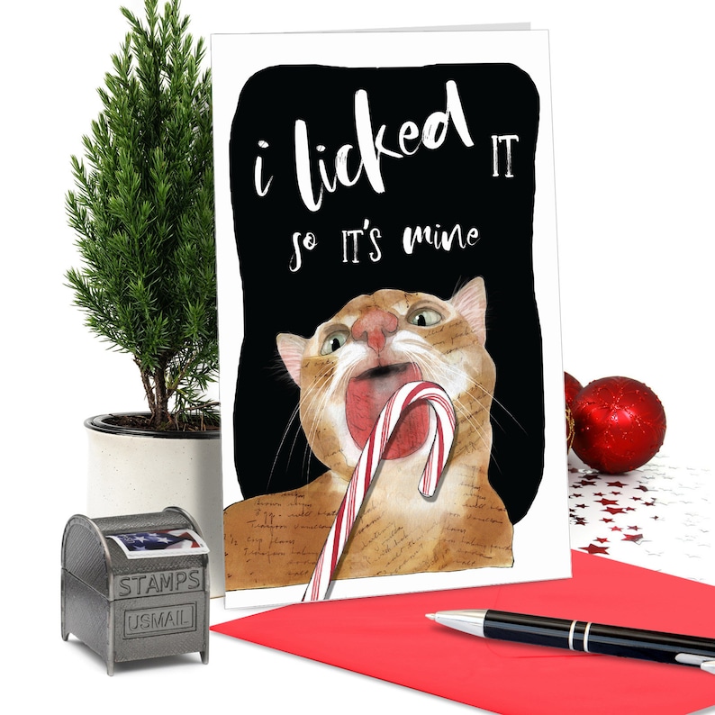 NobleWorks Cat Lick 12 Merry Christmas Cards Boxed Funny Etsy