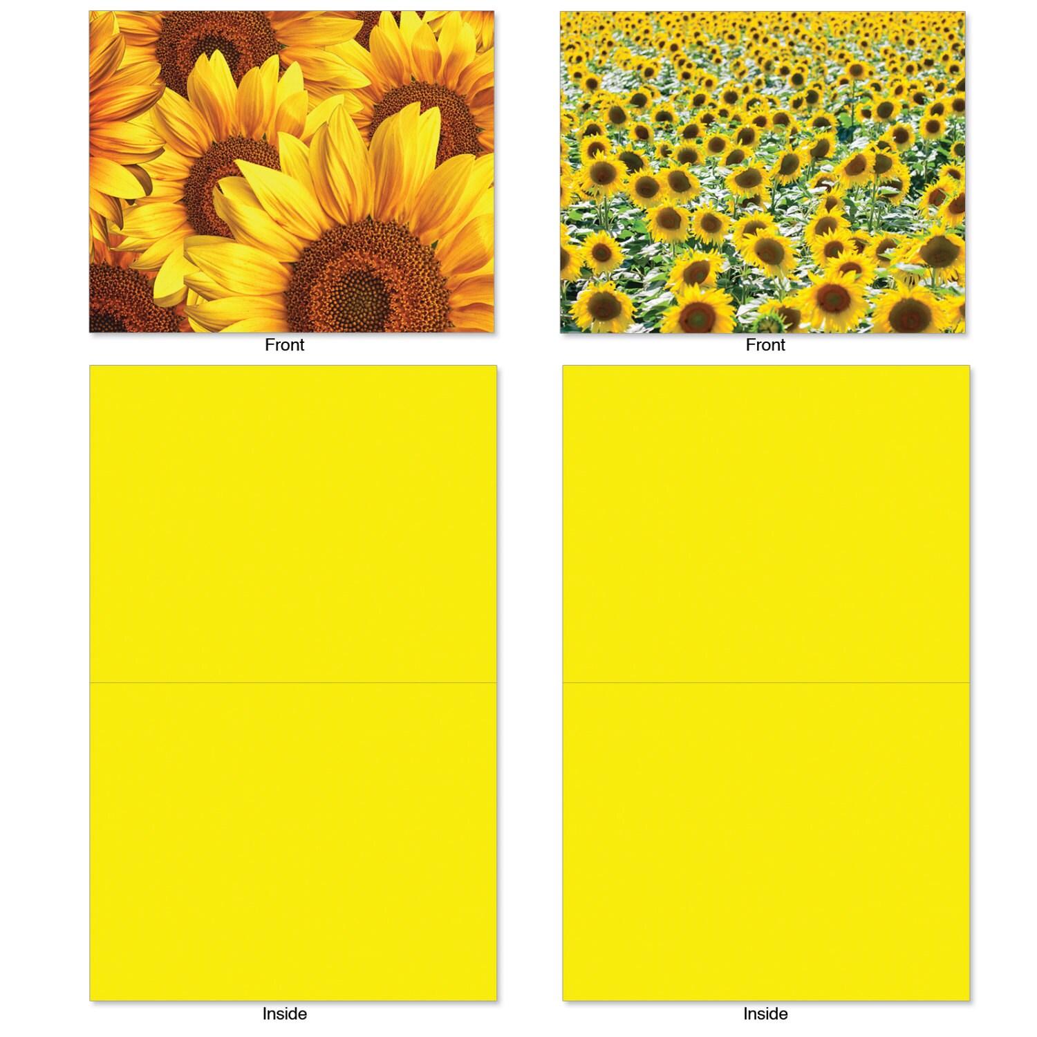 10 Assorted Blank Note Cards Bulk Box Set 4 X 5.12 Inch With Etsy