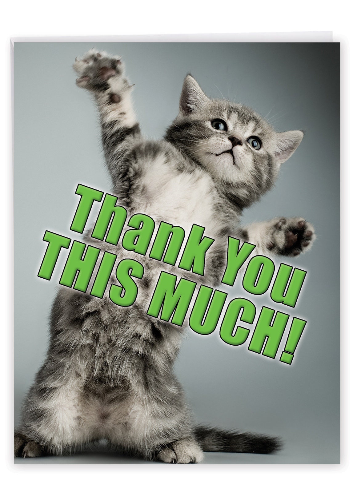 Thank You This Much Kittenbig Thank You Card With Envelope Etsy 日本