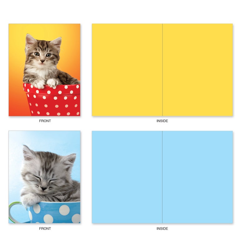 M3969 Cupcats 10 Blank Note Cards With Assorted Designs for Etsy