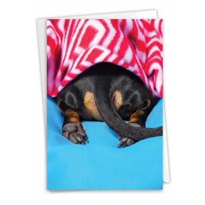 Funny Miss You Greeting Card (1 Card) Thinking of You, Just Because Tattle Tails | Envelope(s) Included | Made in the USA