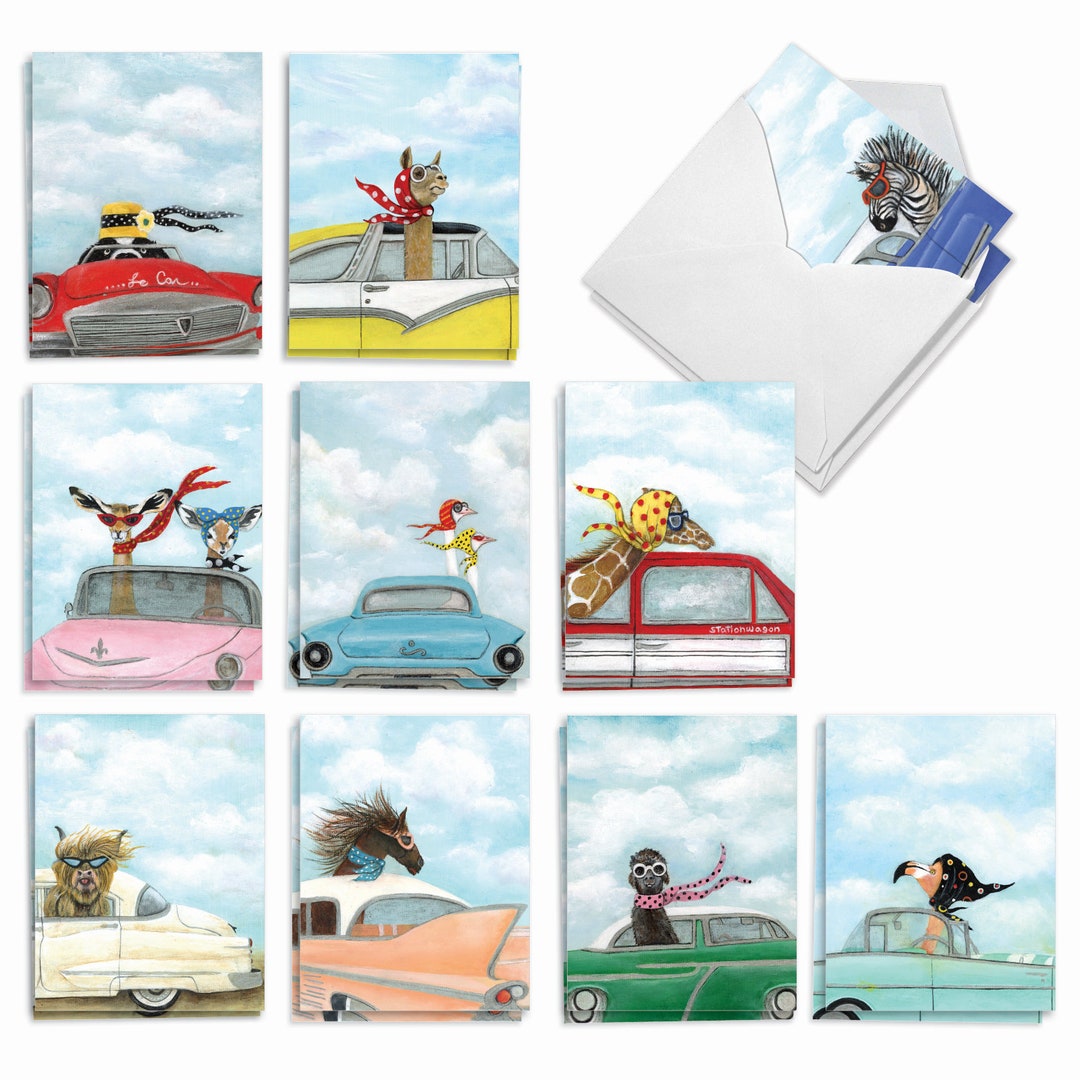 20 Assorted Blank Notecards Bulk Pack 4 X 5.12 Inch W/ Envelopes (10 ...