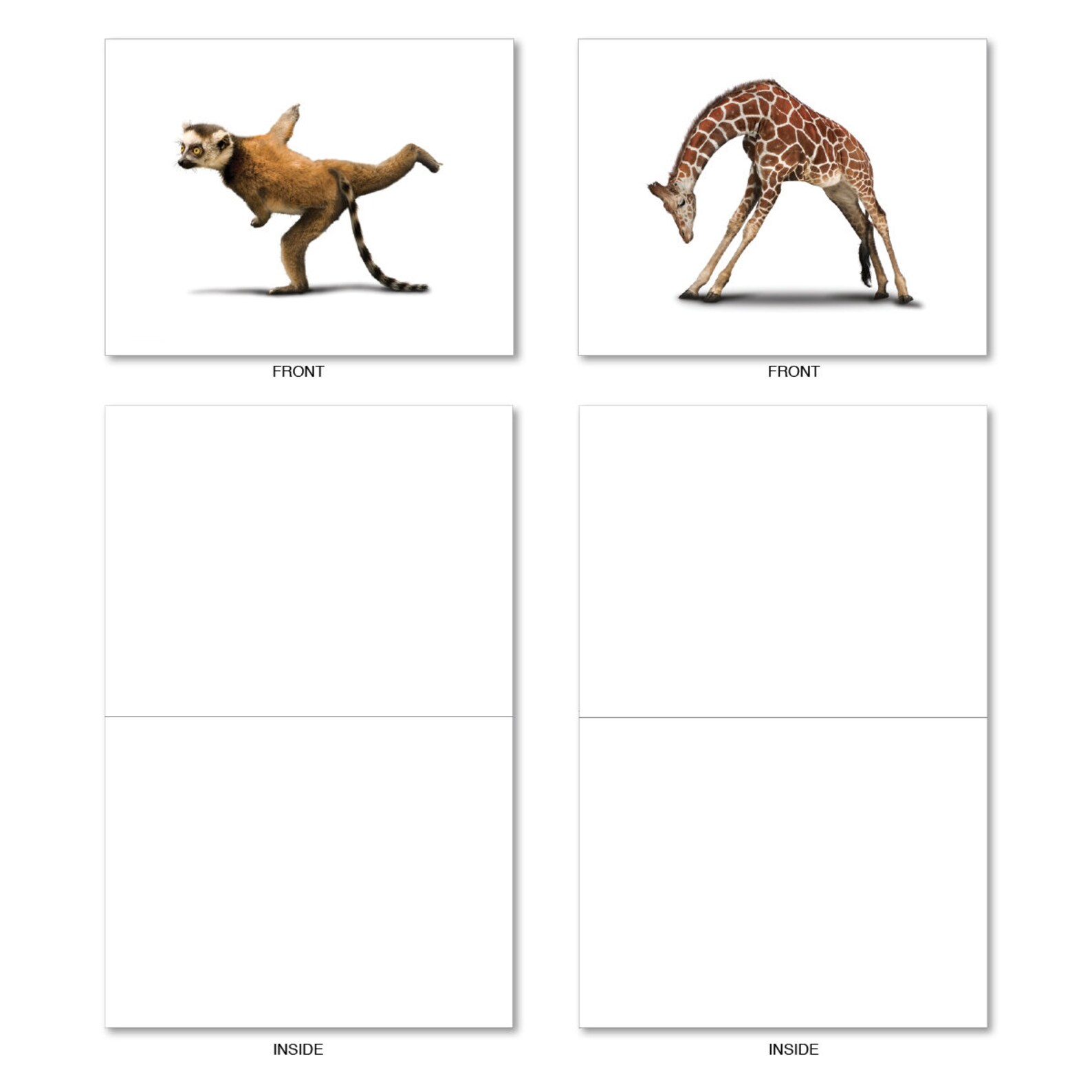 M6547OCB Zoo Yoga 10 Assorted Blank Alloccasion Note Cards Etsy